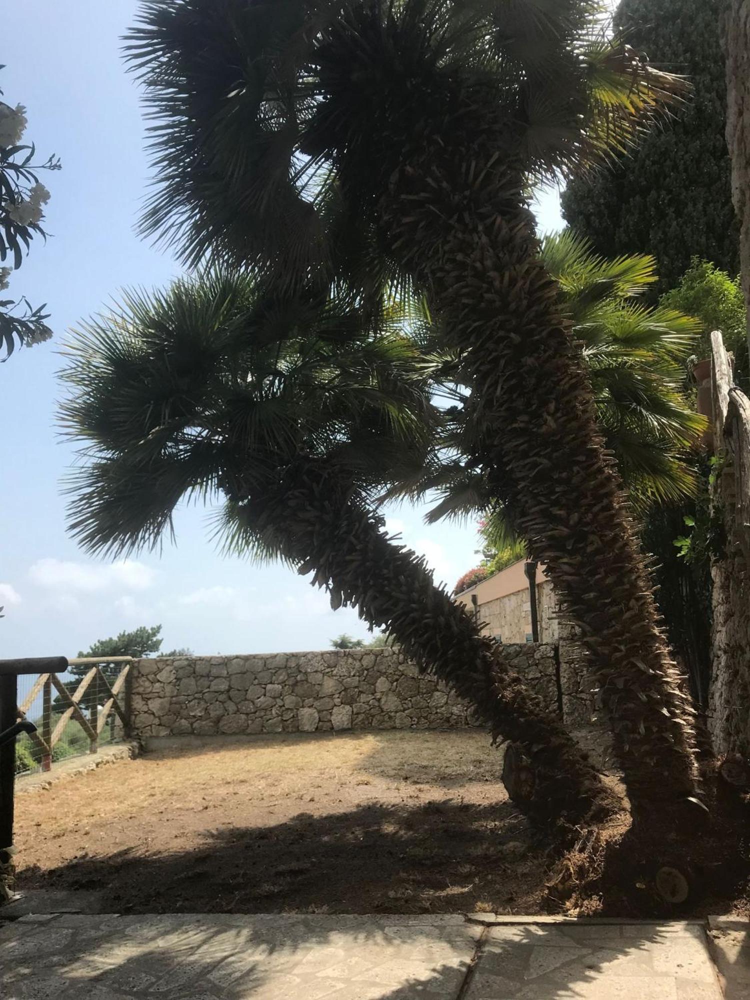 La Cita Ca - Vista Mare Appartement Finale Ligure Buitenkant foto